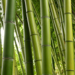 Bali Bamboo Products