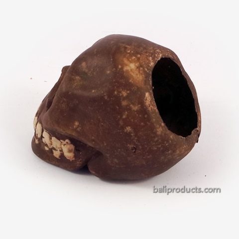 Skull Ashtray Brown