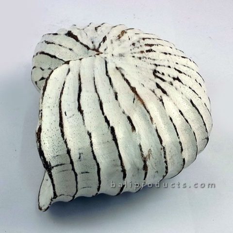Nautilus Shell Figurine